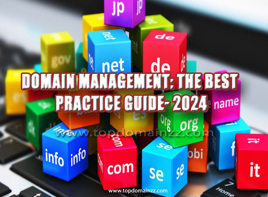 Domain management: the best practice guide- 2024 2 Domain management