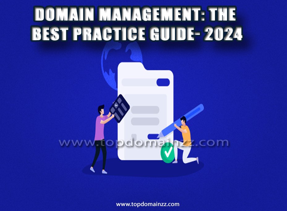 Domain management: the best practice guide- 2024 3 Domain management03