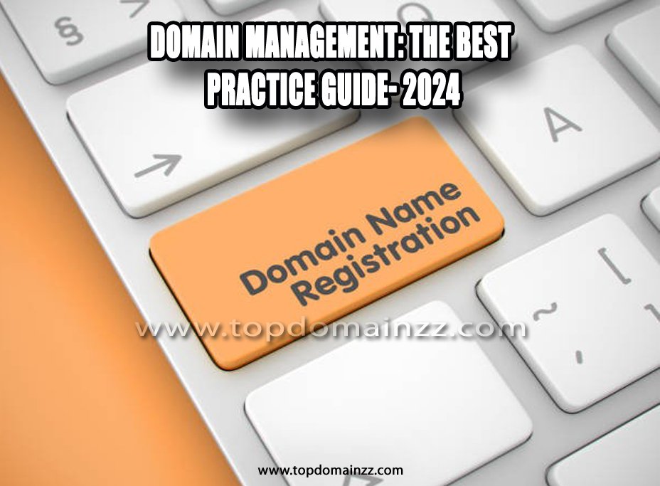 Domain management: the best practice guide- 2024 4 Domain management04