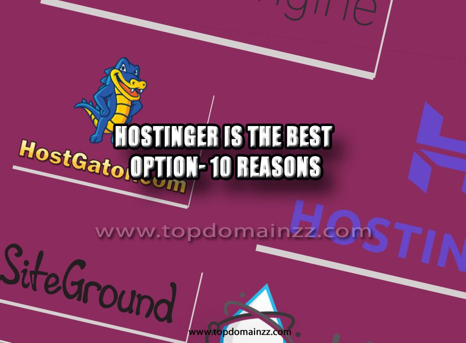 Hostinger is the best option- 10 Reasons 2 best option